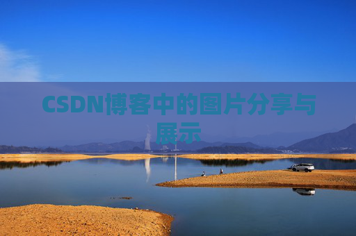 CSDN博客中的图片分享与展示
